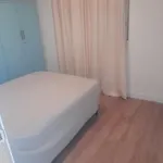 Prázdninový dům El Cordobes Córdoba